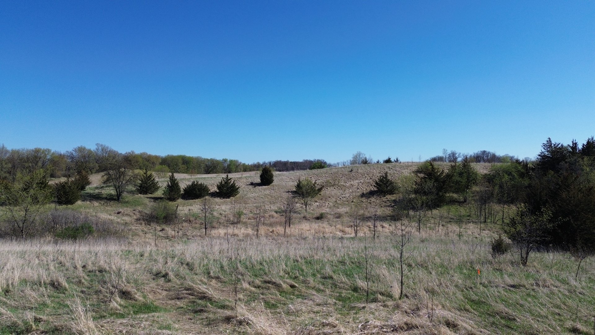 Wooded acreage and rolling terrain across the Legacy Woods property in Dayton, Minnesota
